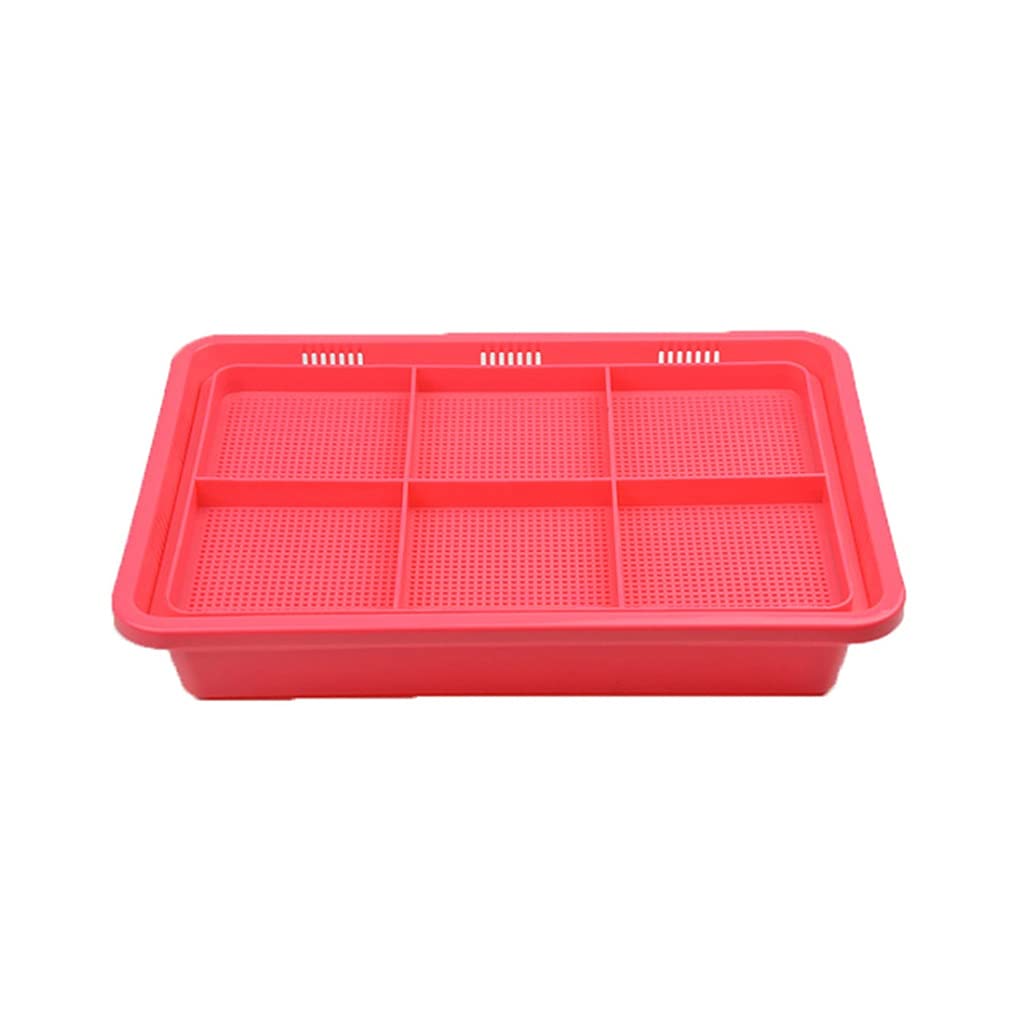 WALNUTA Hydroponic Seed Germination Tray - 10-Cell Seedling Starter Kit with Drainage Holes, Reusable Plastic Nursery Pots for Vegetables, Herbs & Microgreens (Pink) | Indoor Gardening, Hydroponics & Home Planting Supplies