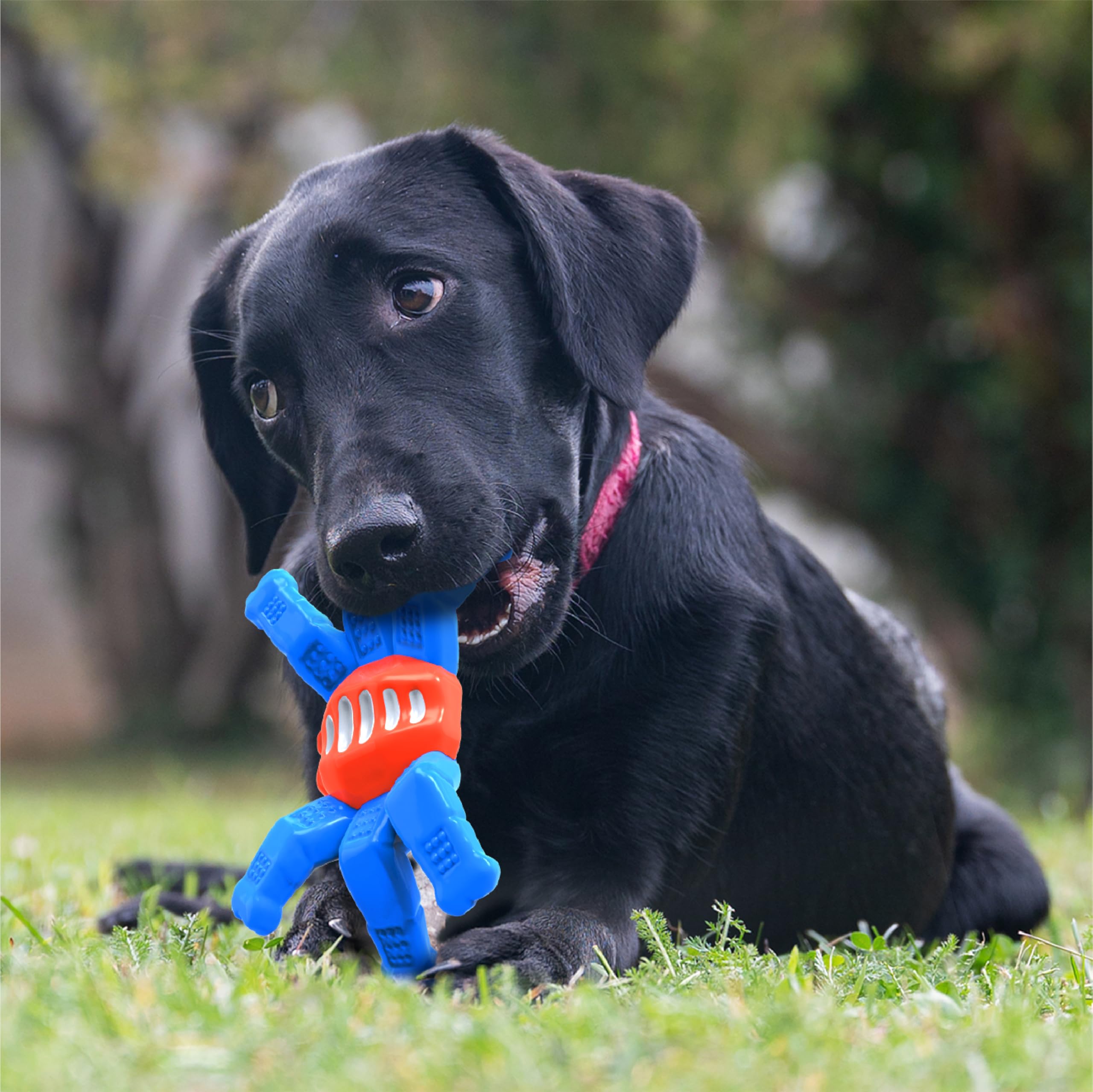 LEGEND SANDY Indestructible Dog Toys for Aggressive Chewers - Tough Nylon Chew Toys for Large & Medium Dogs - Durable Dog Bone Toy for Powerful Jaws - Heavy Duty Chewing Toy to Keep Dogs Entertained - Perfect for Playtime, Training & Anxiety Relief