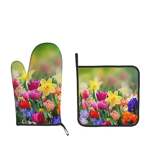 Summer Colorful Flowers