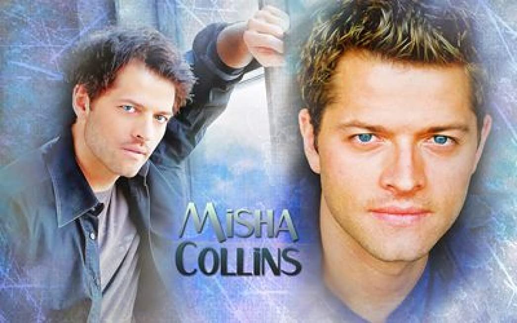 Spot Dog Misha Collins - 36x48 Inch Premium Poster Print (ID# PDI182729) - Perfect for Home Decor, Office Wall Art & Gift for Dog Lovers