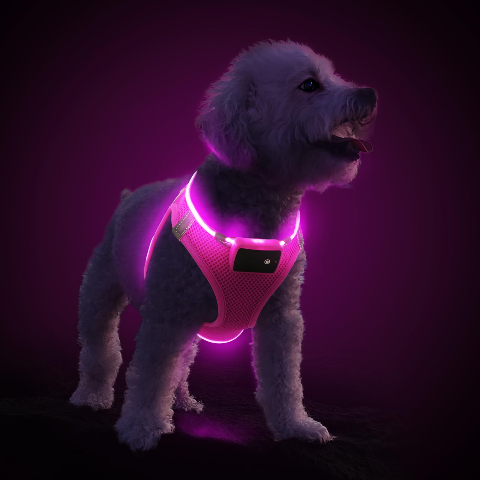 LED Dog Harness with Flashing Lights - Rechargeable No-Pull Reflective Vest for Small & Medium Dogs - Night Walking Safety Gear for Puppies (Pink, Small) - Perfect for Evening Walks, Jogging & Outdoor Adventures