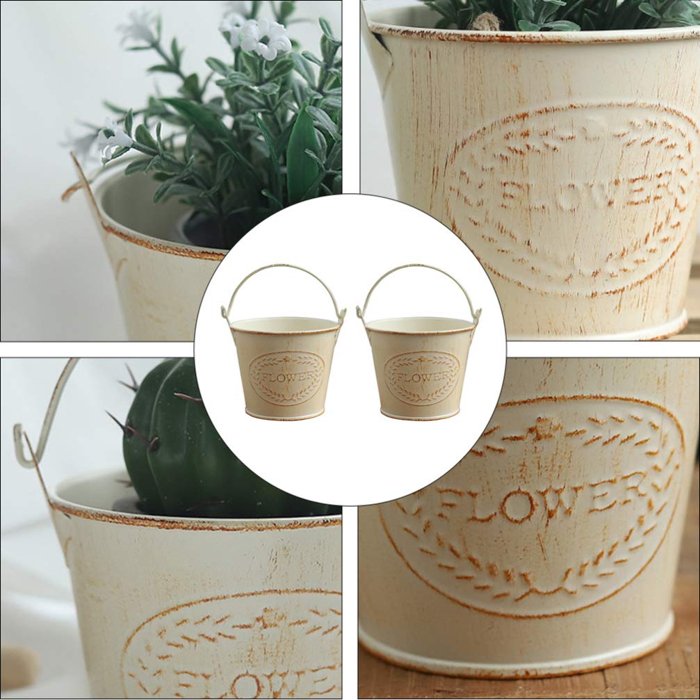 Hemoton 2-Pack Metal Hanging Planters for Indoor Plants - Iron Flower Pots with Hooks for Succulents, Herbs & Cacti | Perfect for Home, Garden, Balcony & Office Decor