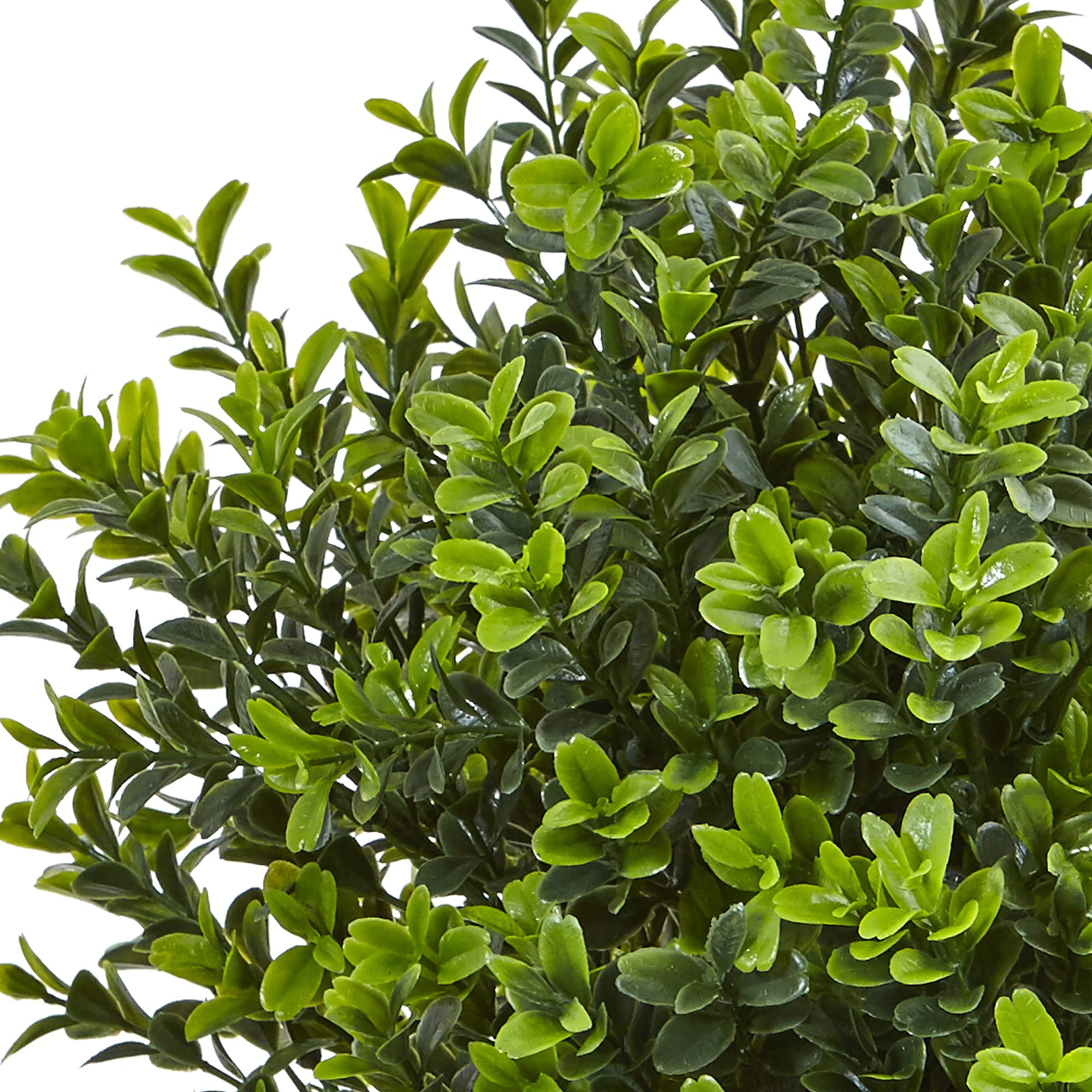 Nearly Natural Boxwood Evergreen Artificial Plant in White Vase - Indoor/Outdoor Fake Plant for Home, Office, Patio & Garden Decor - Perfect for Living Room, Porch, Wedding Centerpiece & Commercial Spaces