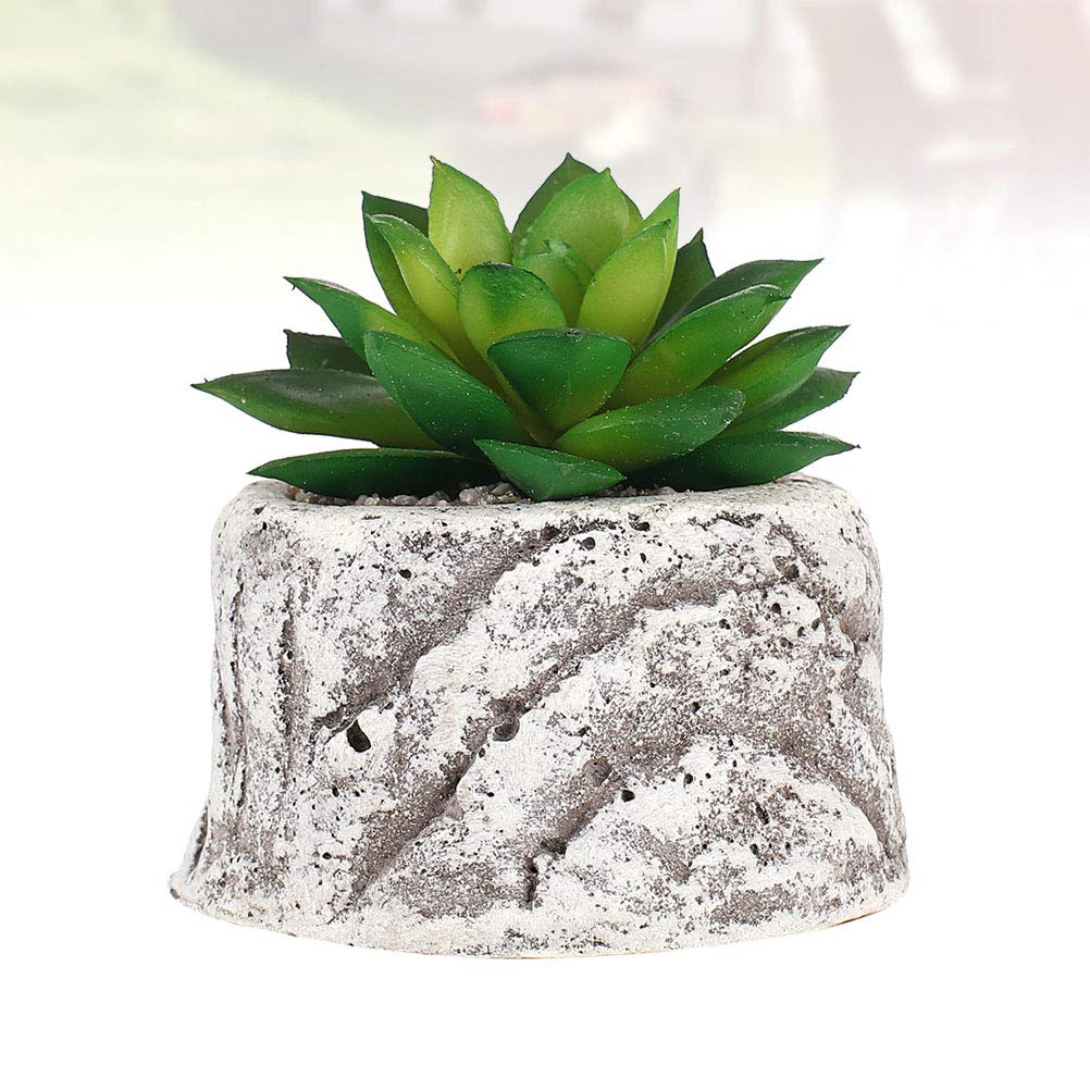 VICASKY Decorative Succulent Plant Pots - Ceramic Flower Pots for Cactus, Aloe Vera, Small Plants - Perfect for Home, Office, Garden Decor and Gift Ideas
