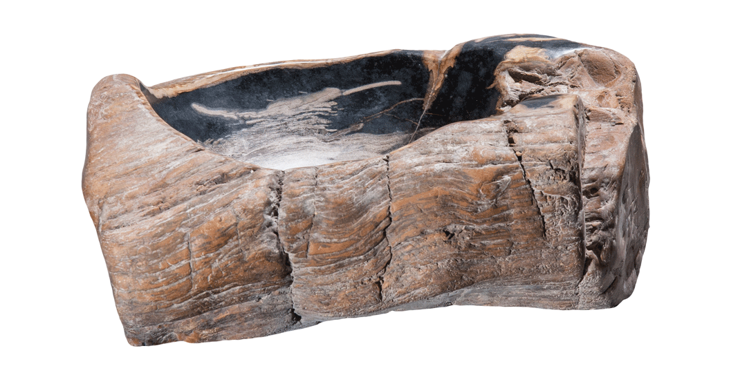 Natural Petrified Wood Bathroom Sink - 17