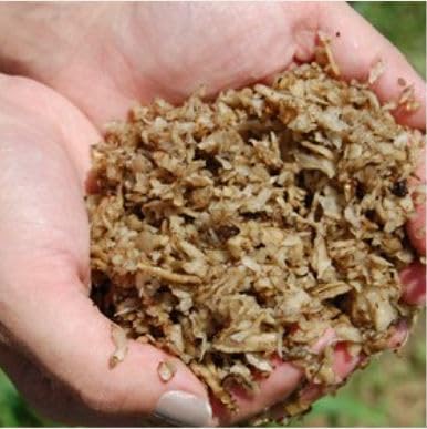 Premium Shredded Beet Pulp with Molasses for Livestock Feed - High Fiber Digestive Aid for Horses, Cows & Goats - 30 lb Bag - Midwest Agri Product by Ernst Grain & Livestock | Ideal for Winter Feeding & Digestive Health Support