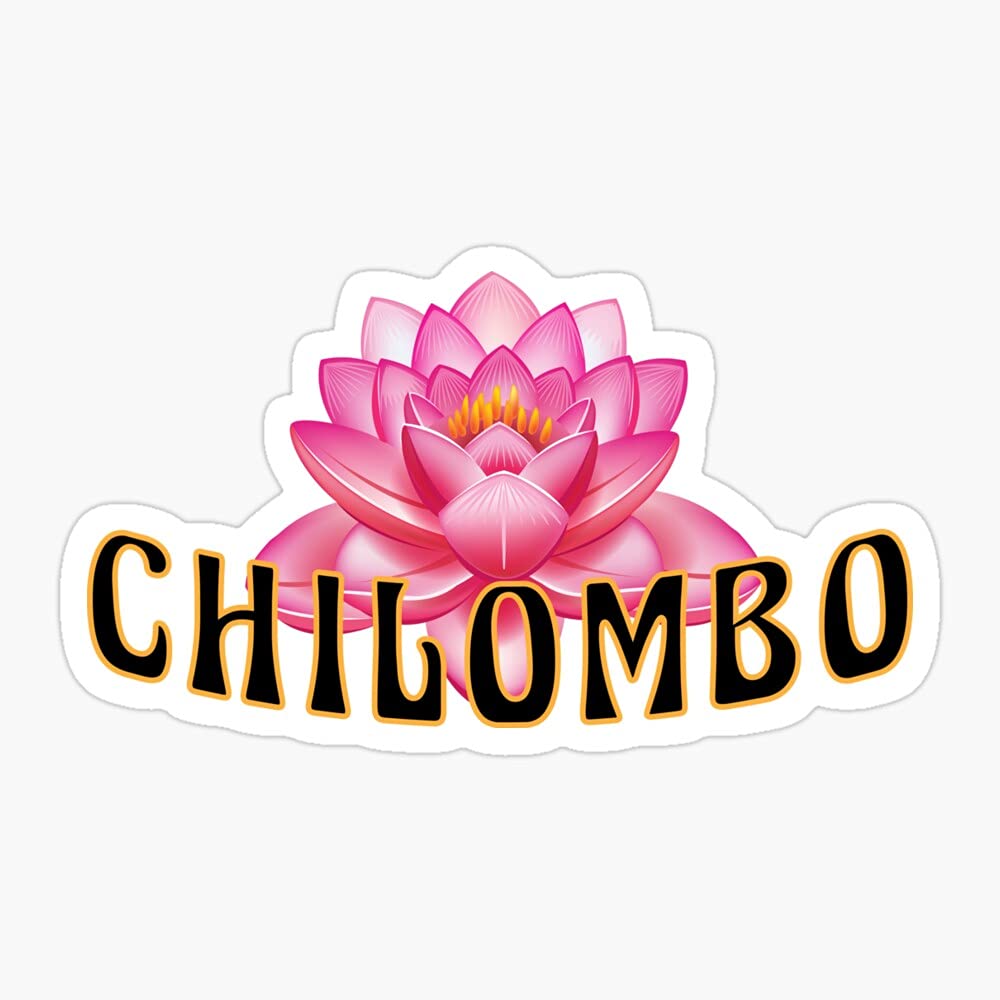 70s Aesthetic Flower Vinyl Stickers - Waterproof Cute VSCO Stickers for Laptop, Hydro Flask, Skateboard & Computer - Retro Decorative Stickers for Teens Room, Journal & DIY Crafts