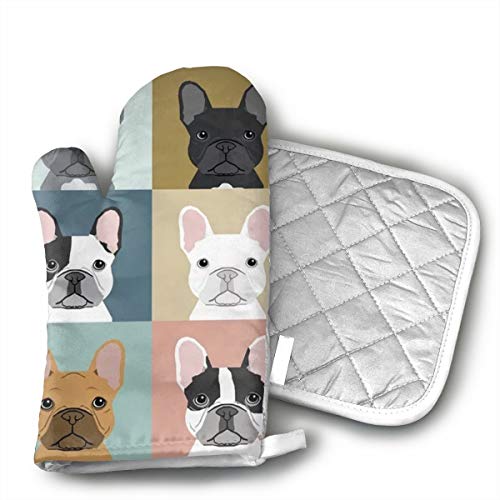 French Bulldogs Dog