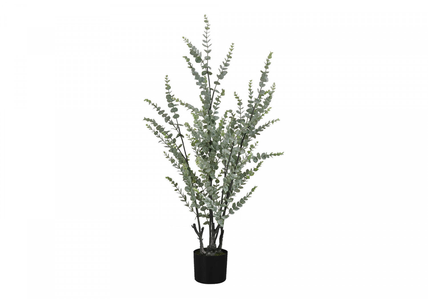 44 Pack Eucalyptus Plants in 5 Black Pots - Fresh Green Indoor/Outdoor Decor for Home, Office, and Garden Landscaping