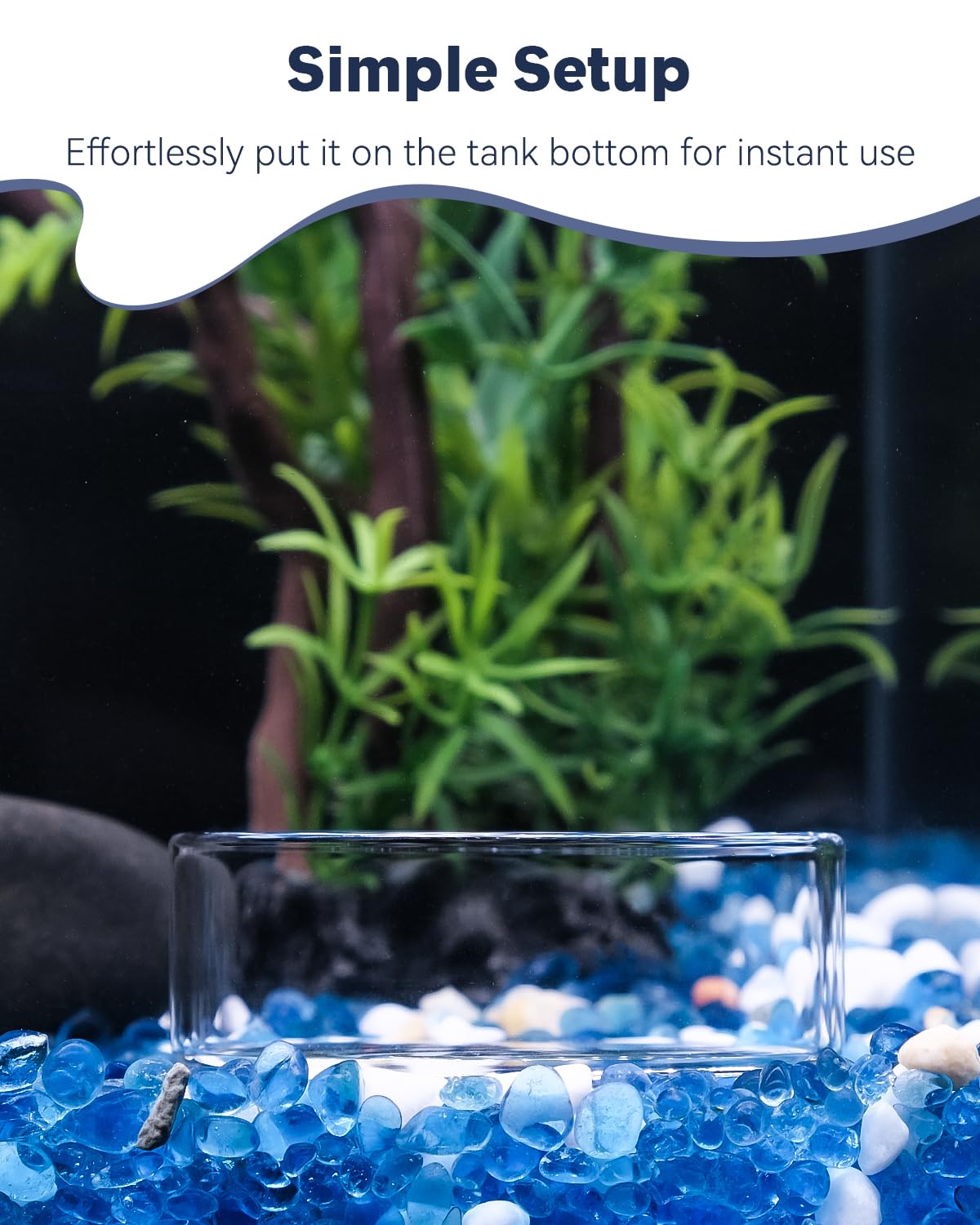 Pawfly 3-Piece Clear Glass Shrimp Feeding Dish - Small Round Aquarium Fish Tank Feeder Bowl for Shrimp, Fish, and Terrariums - Perfect for Feeding and Maintaining Clean Water in Your Tank