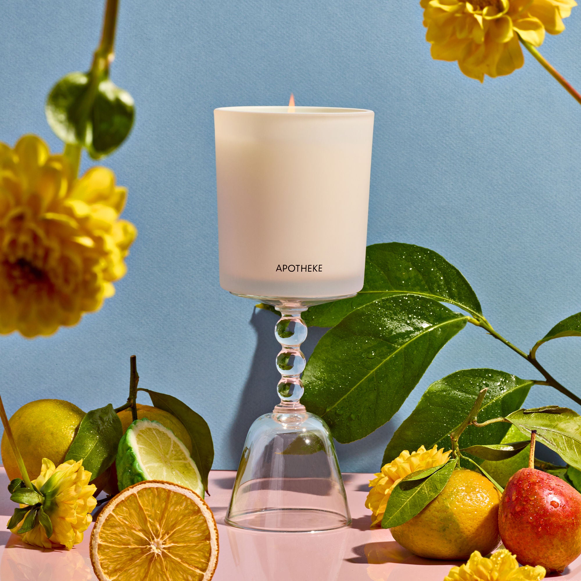 Bergamot Tangerine Scented Candle - Natural Soy Wax Aromatherapy Candle for Relaxation, Stress Relief & Home Decor | Perfect for Living Room, Bedroom & Bathroom