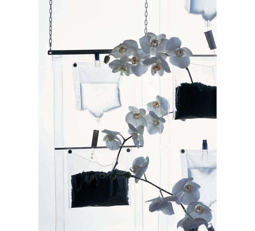Driade Erbale Modern Plant Holder - Stylish Indoor & Outdoor Hanging Planter for Home Decor, Balcony, Garden, and Office Spaces