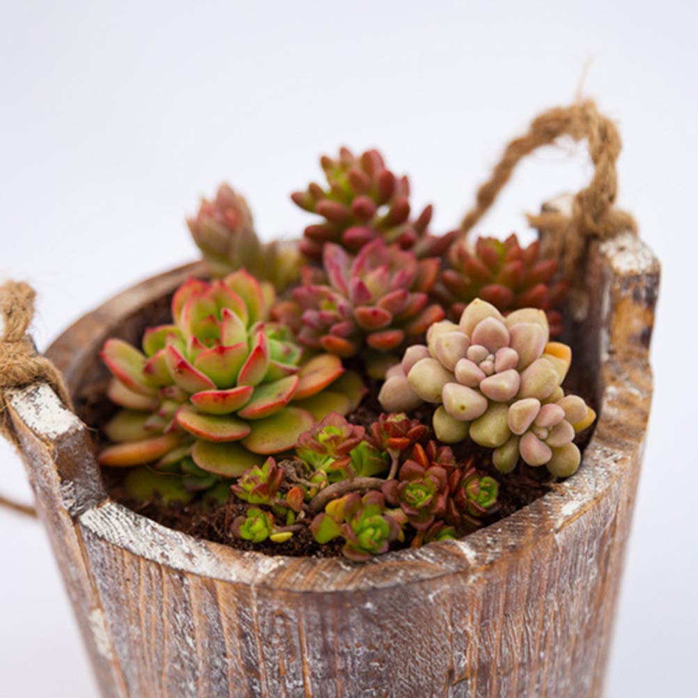 Hangable Wooden Flower Pot - Cabilock Decorative Plant Holder for Indoor/Outdoor Plants | Perfect for Home, Garden, and Balcony Decor