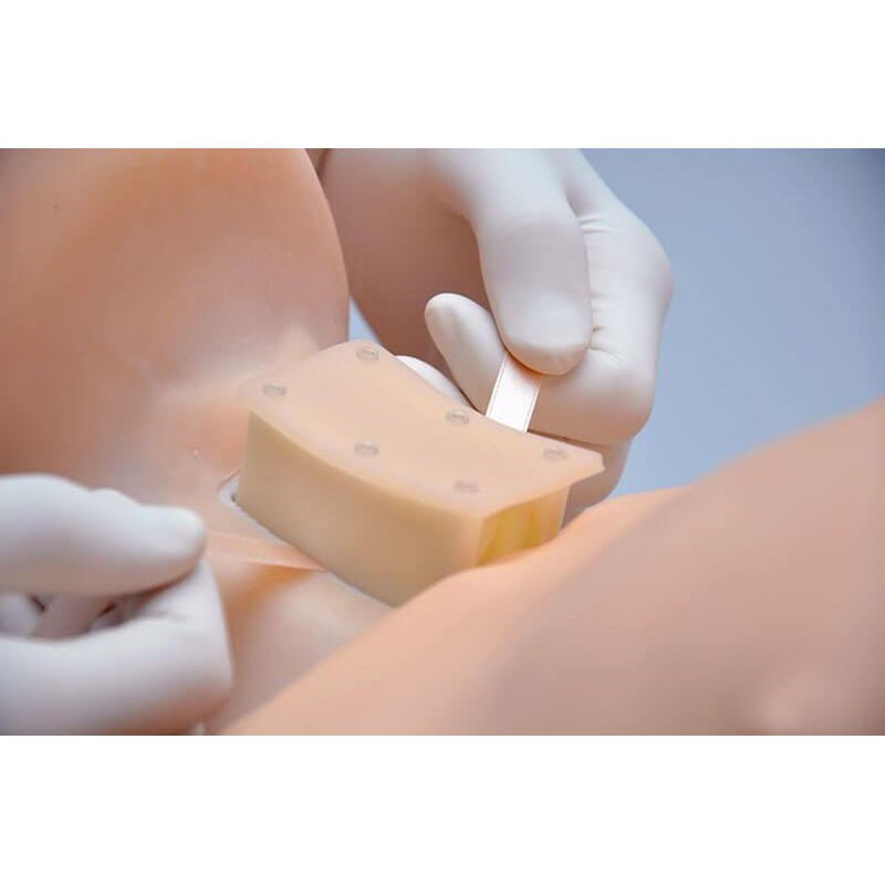 HAL® Adult Multipurpose Airway and CPR Training Manikin - Lightweight Medical Practice Dummy for First Aid, Nursing & Emergency Response Training - Perfect for Hospitals, Schools & CPR Certification Courses