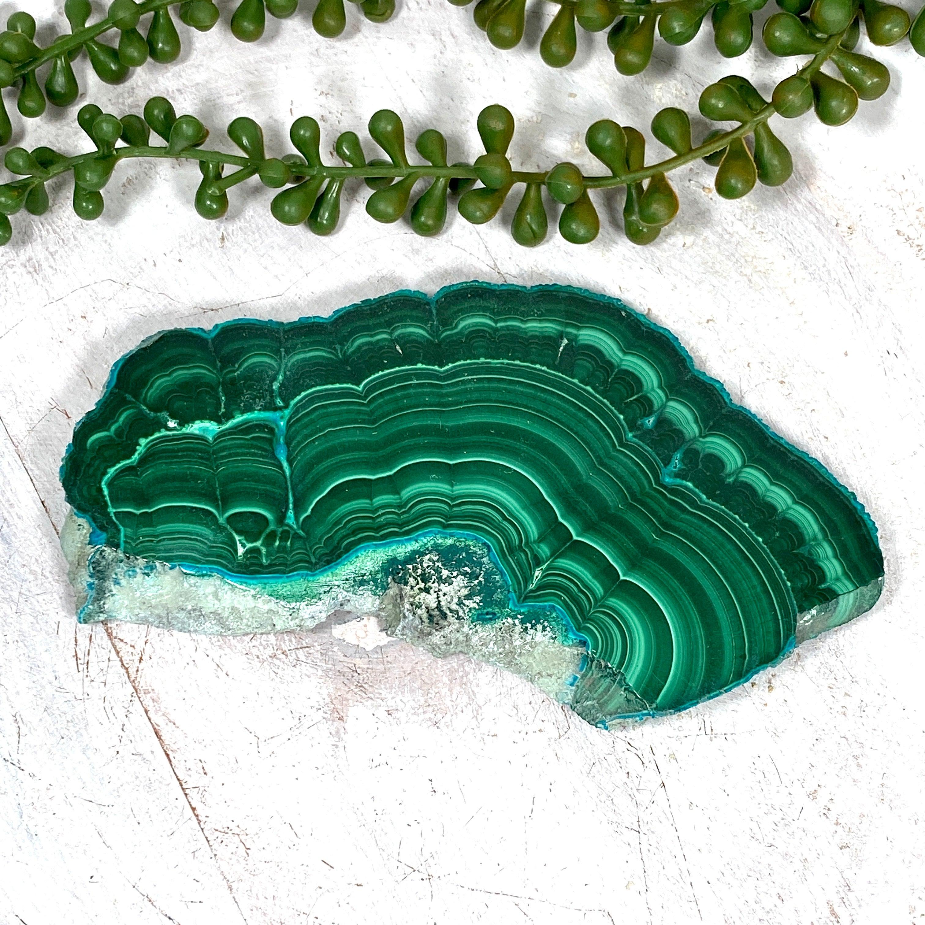 Natural Malachite Slice CR3539 - Unique Green Crystal Stone for Home Decor, Jewelry Making & Healing Crystals Collection - Perfect for Meditation, Feng Shui & Gift Giving