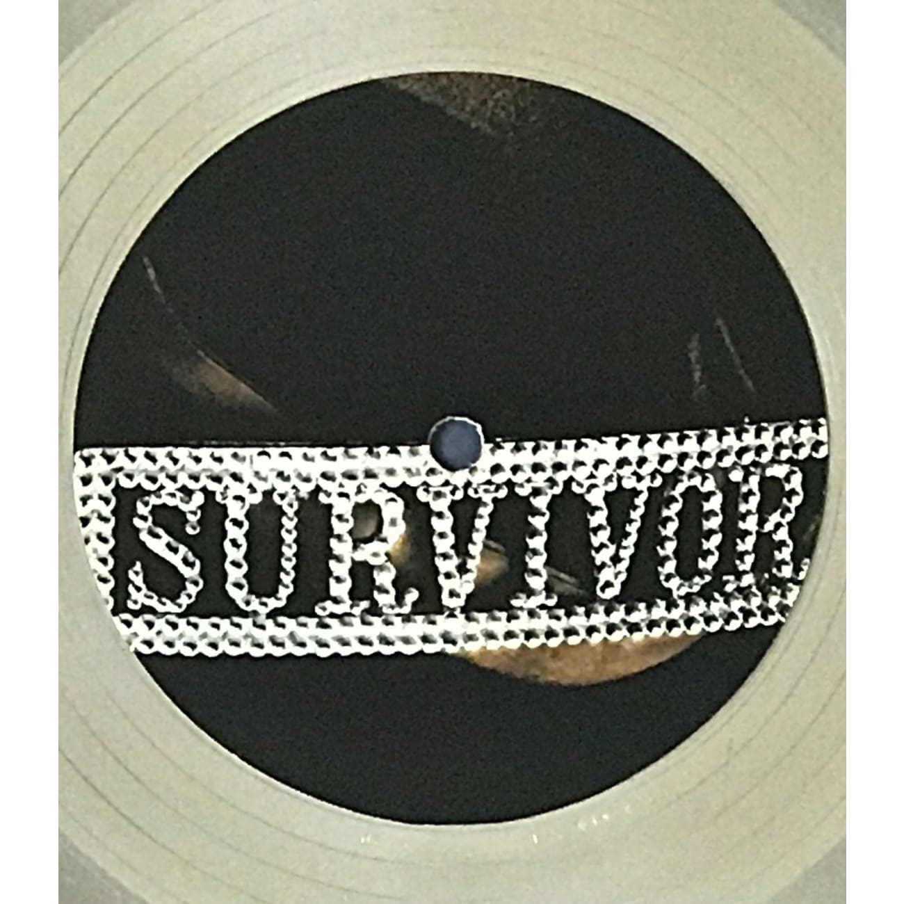 Destiny's Child Survivor 3x Multi-Platinum Album Award - Certified RIAA Gold & Platinum Record - Perfect for Music Collectors, Fans & Display in Home, Office or Studio