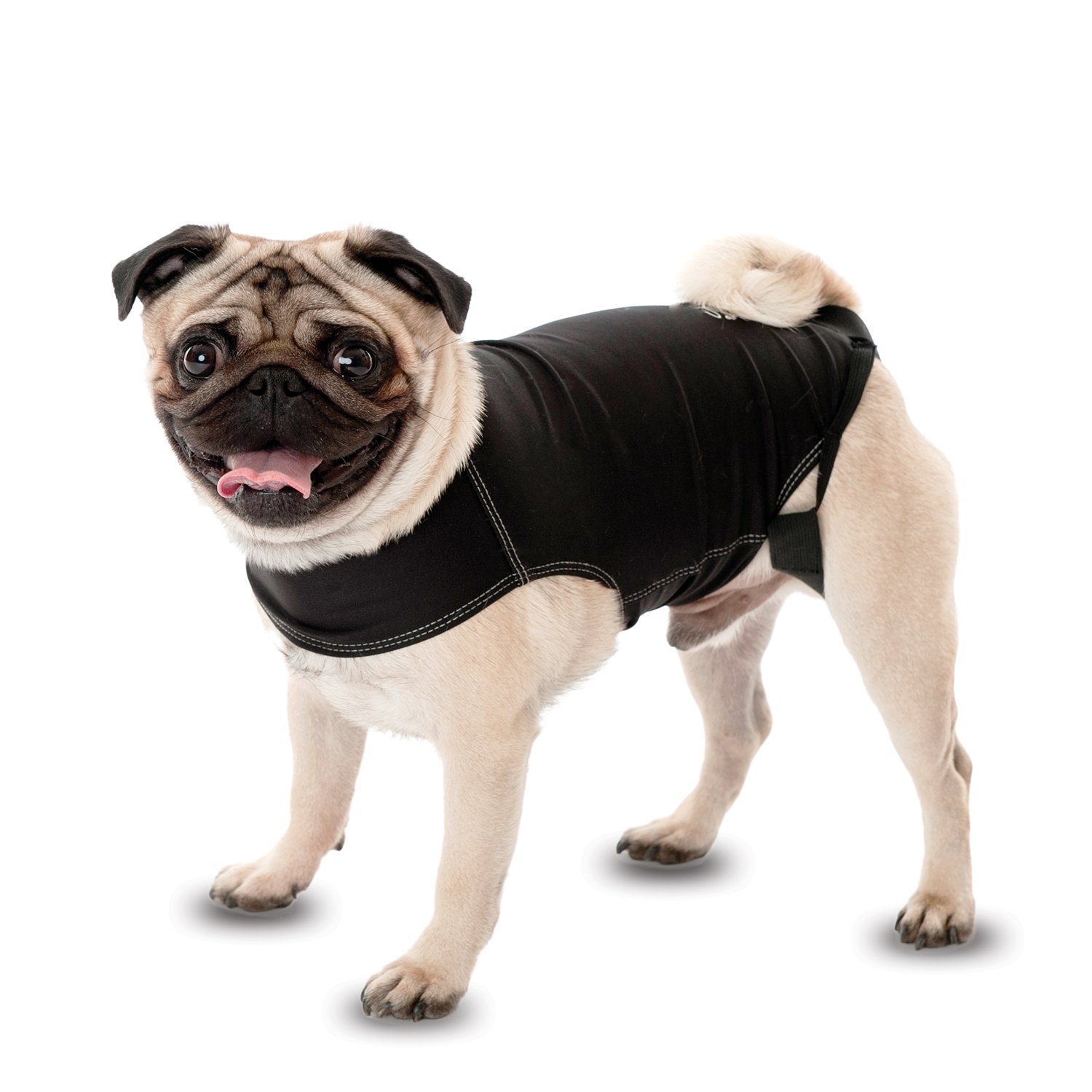 Company of Animals Anxiety Wrap for Dogs - Small Size, Black - Calming Vest for Pet Anxiety Relief During Thunderstorms, Travel & Vet Visits