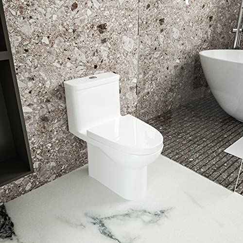 Dual Flush