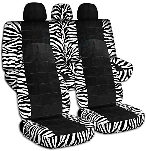 Zebra & Black