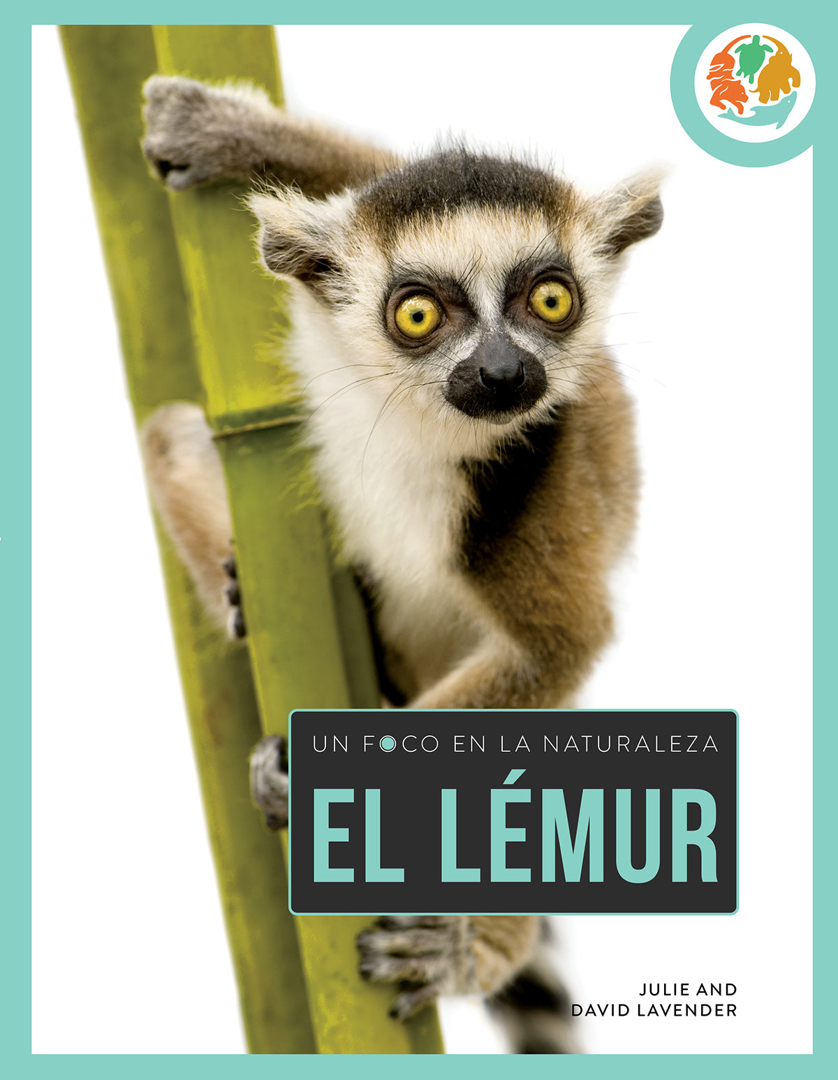 Original Title: el lemur 9798889894698   Optimized Title: Premium El Lemur Plush Toy - Soft & Cuddly Stuffed Animal for Kids & Collectors | Perfect for Gifts, Nursery Decor & Comfort | 9798889894698