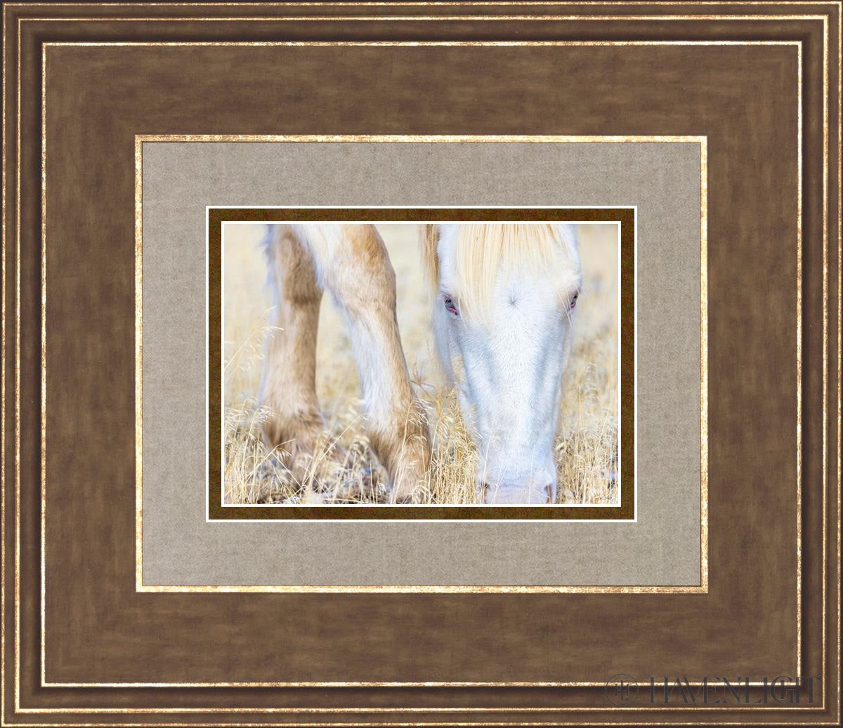 Dry Grass by Greg Sargent - Premium Handcrafted Home Decor for Rustic & Farmhouse Style - Perfect for Wall Art, Shelf Displays & Cozy Living Room Decor