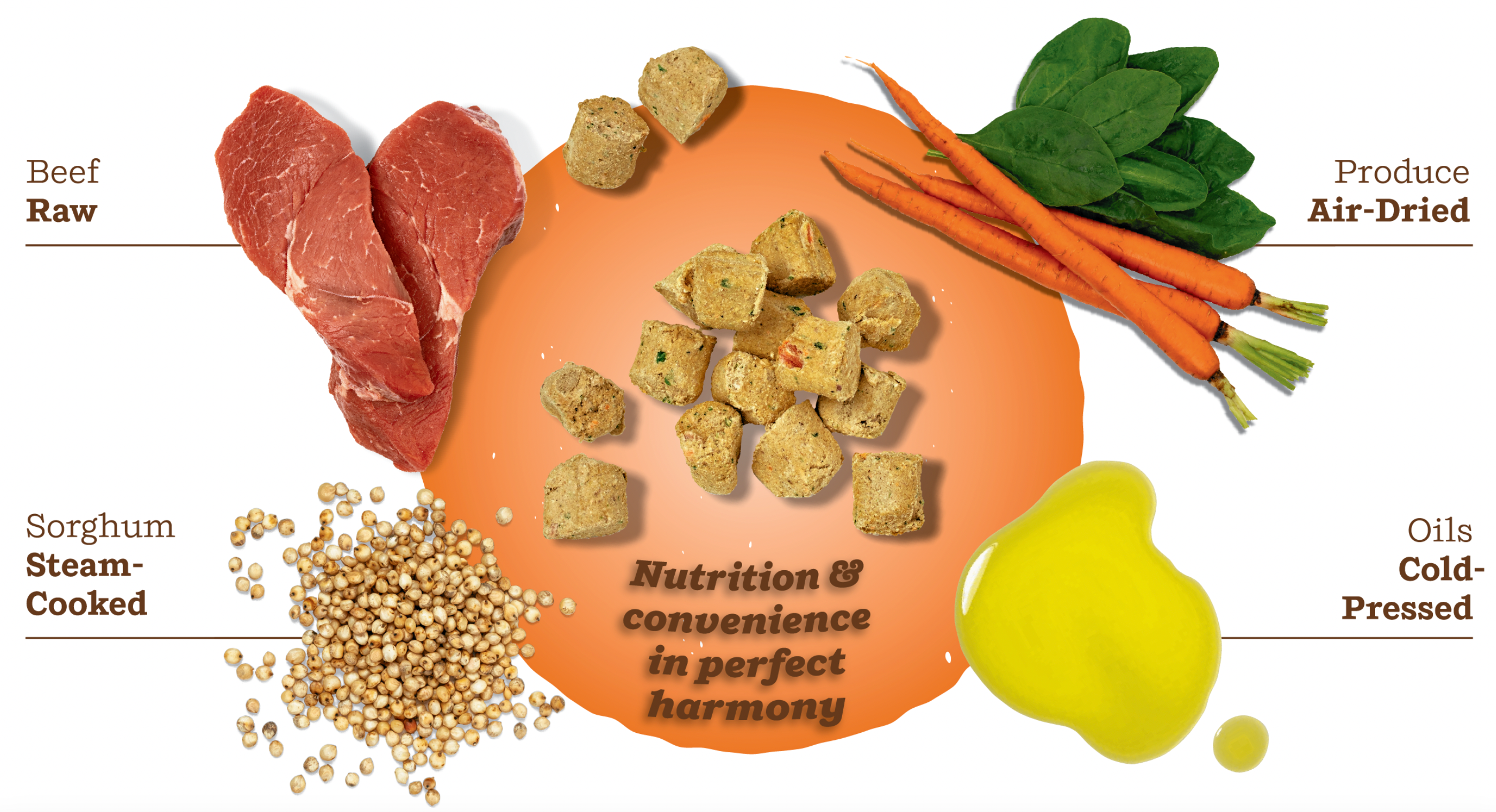 Primal Kibble In the Raw Beef Dog Food - High Protein Grain-Free Dry Dog Food for All Breeds & Ages | Perfect for Active Dogs, Training Treats & Meal Toppers