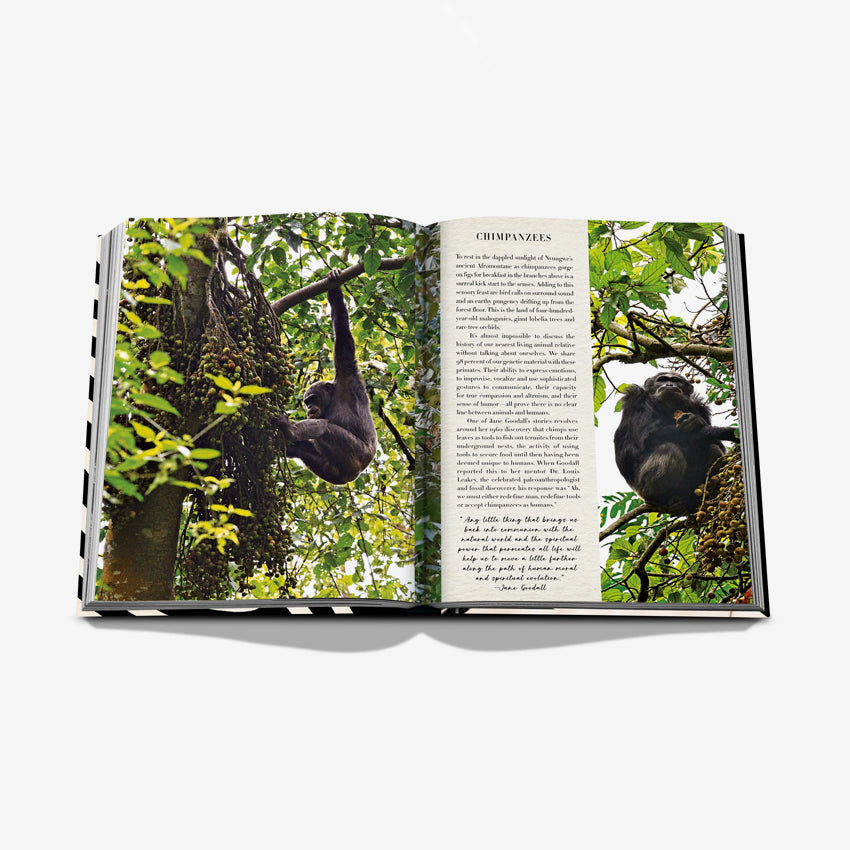 Assouline African Adventures: The Greatest Safari on Earth - Luxury Travel Coffee Table Book for Wildlife Photography & Safari Enthusiasts - Perfect for Home Decor & Travel Inspiration