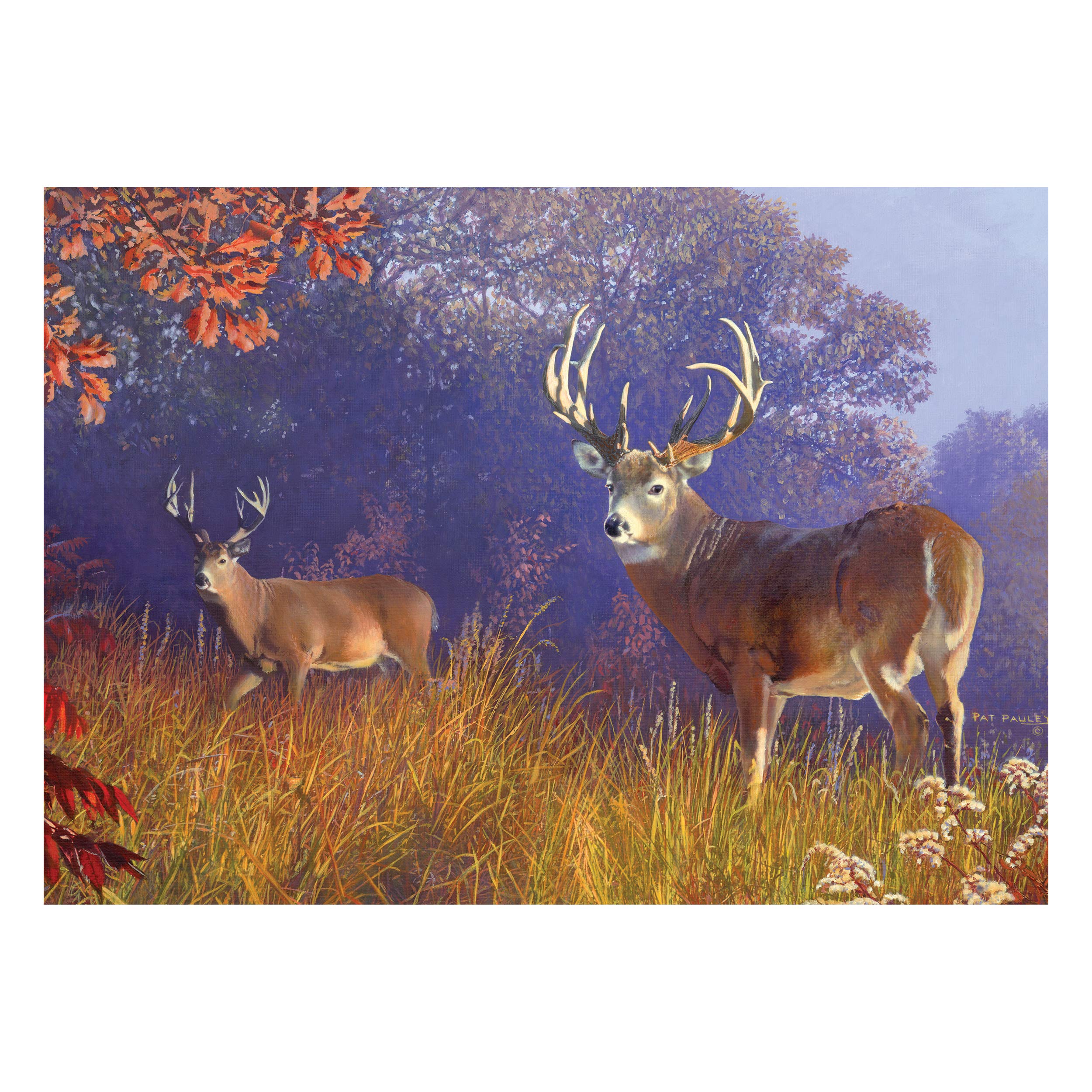 River's Edge Products 1000 Piece Jigsaw Puzzle in Tin - Deer Scene Animal Landscape Puzzle for Adults, Teens & Kids (28x20 Inches) - Perfect for Family Game Night, Stress Relief & Home Decor