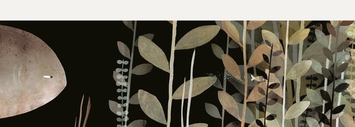 Jon Klassen: This is Not My Hat - Award-Winning Children's Board Book for Bedtime Reading & Storytime Fun