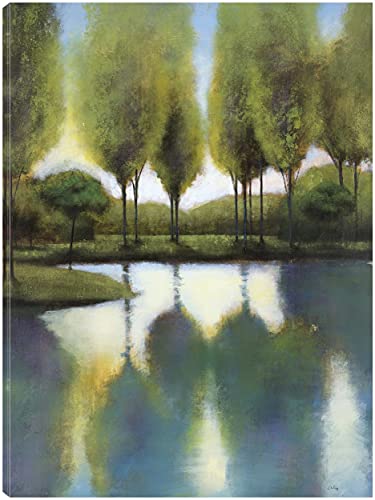 Trees in Reflection