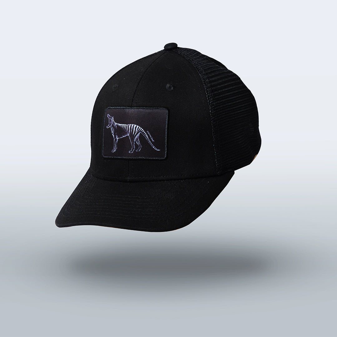 Men's Tasmania Tiger Black Tarkine Trucker Hat - Stylish Baseball Cap for Outdoor Adventures, Hiking & Casual Wear