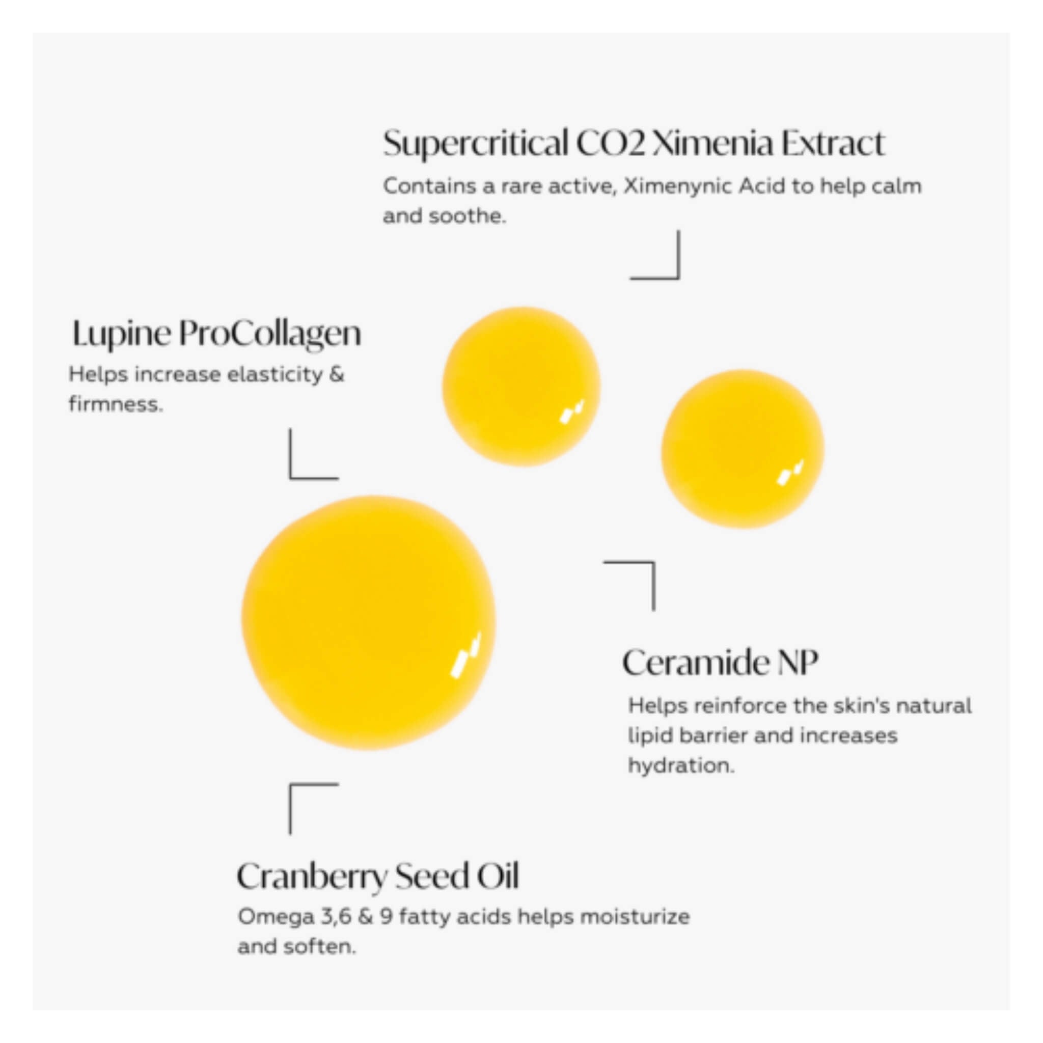 Ceramide Barrier Repair Oil for Face - Hydrating & Anti-Aging Facial Treatment - Dry Skin Care & Night Moisturizer - Perfect for Daily Skincare Routine & Sensitive Skin Relief