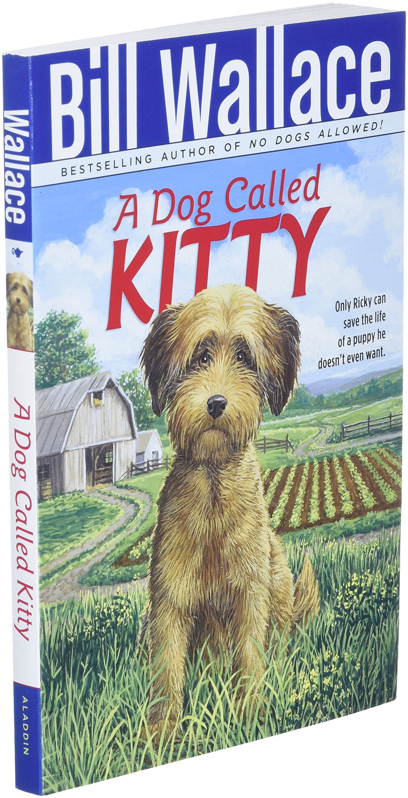Dog Called Kitty - Funny and Unique Pet Name Idea for Your Playful Cat-Like Dog | Perfect for Social Media & Pet Lovers