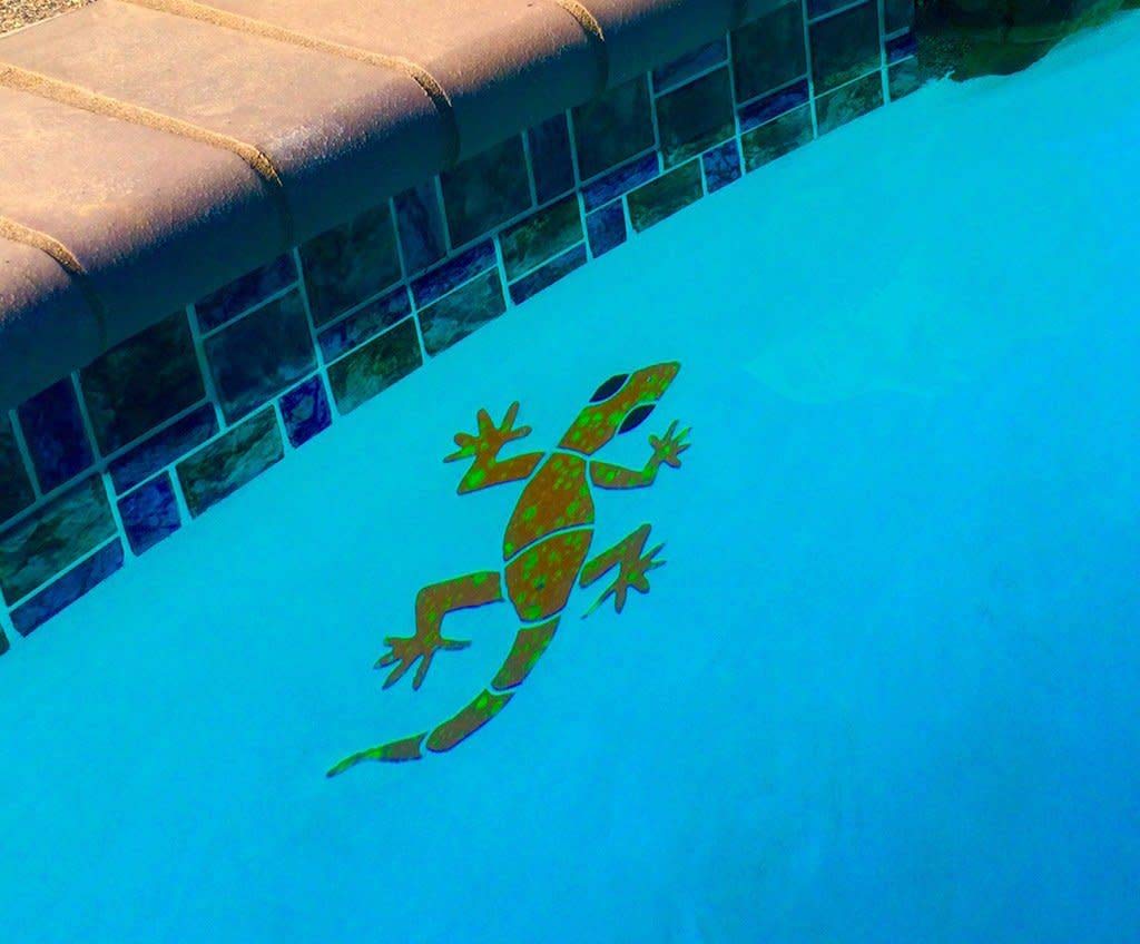 Large Gecko Ceramic Swimming Pool Mosaic Tile - 11