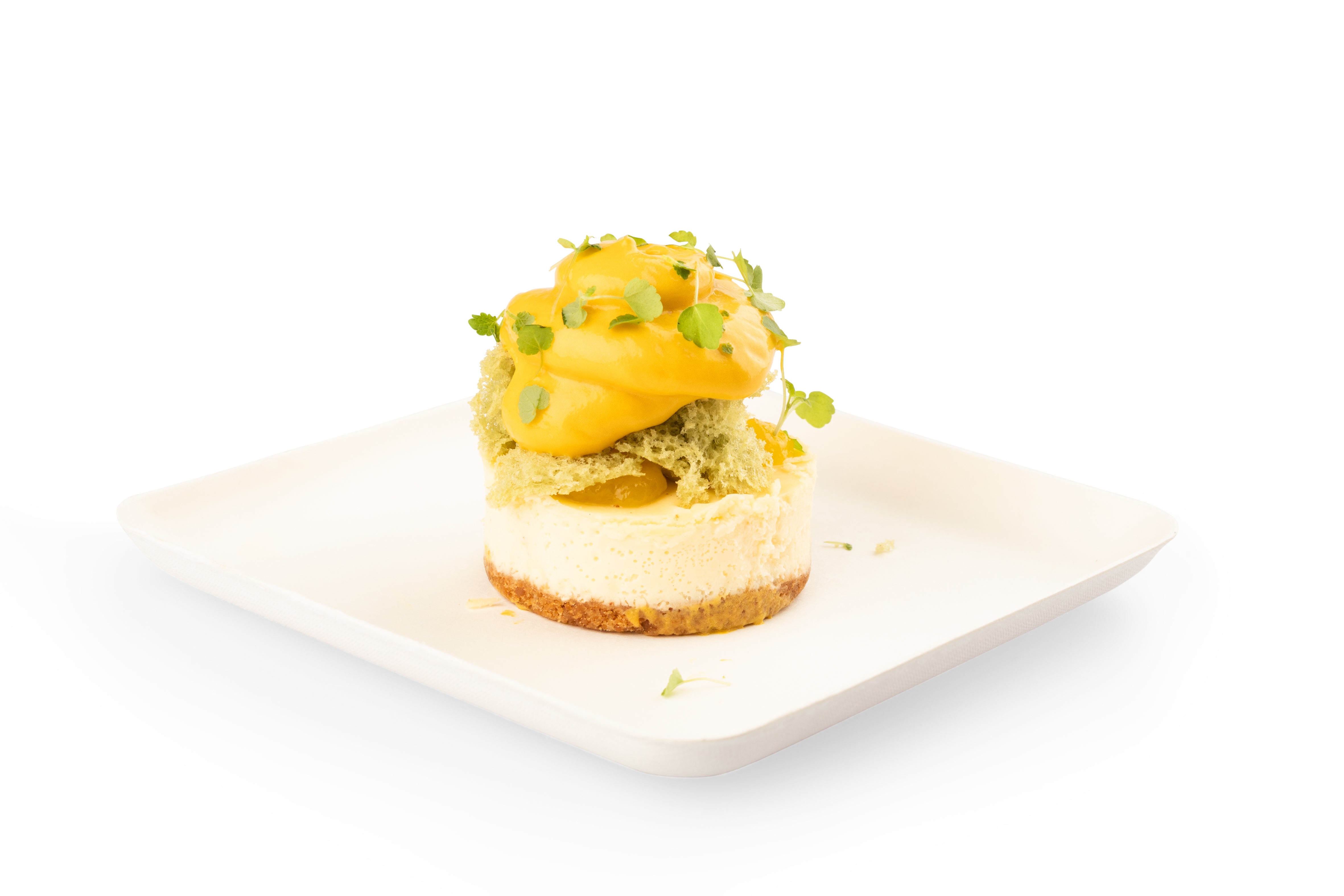 Bagastro Square Plate - Elegant and Durable Dinnerware Set for Home, Restaurant, and Party Use - Perfect for Serving Appetizers, Desserts, and Meals