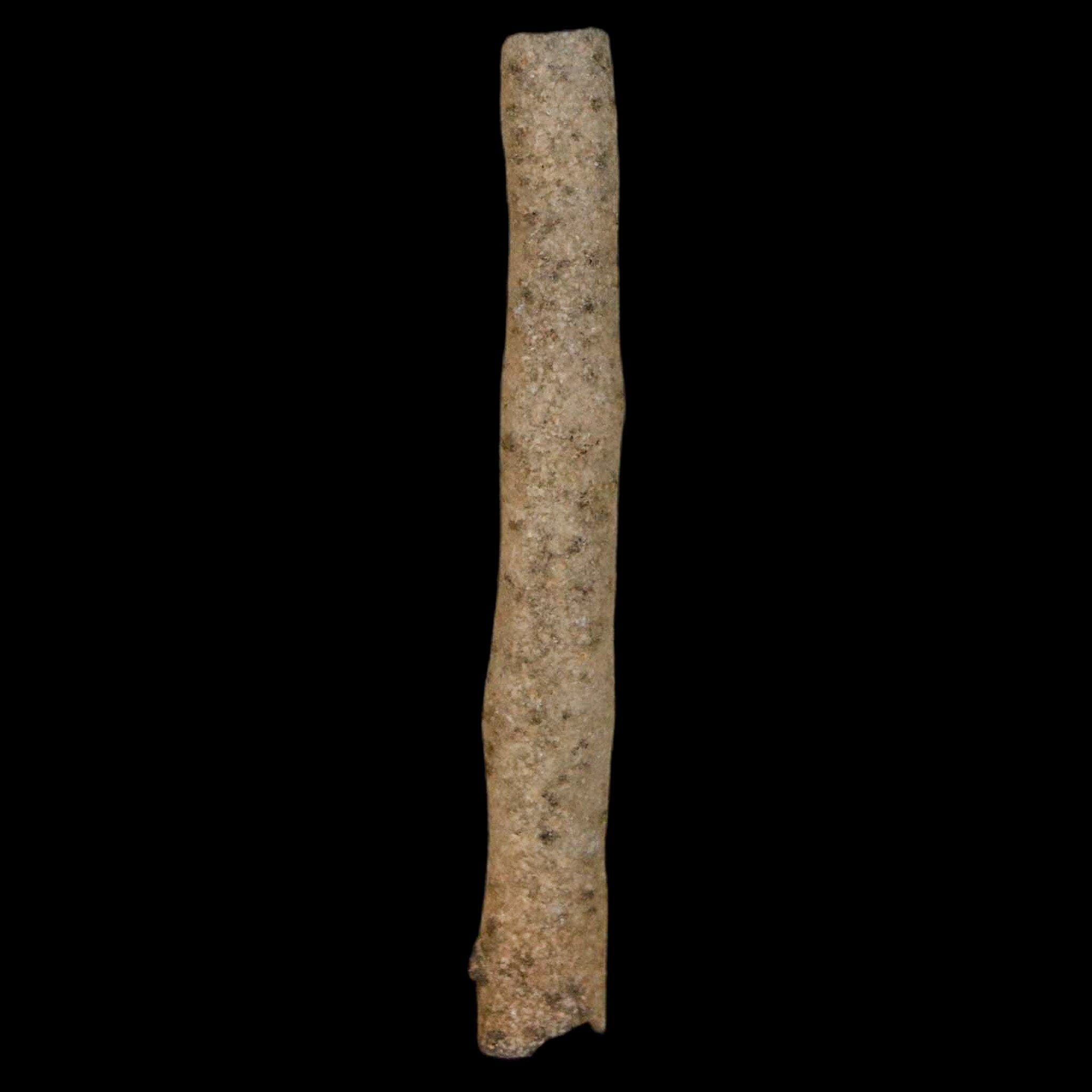 2 Pieces Natural Fulgurite Petrified Lightning Strike Glass from Sahara Desert Algeria - Rare Collectible for Geology Enthusiasts & Home Decor Display