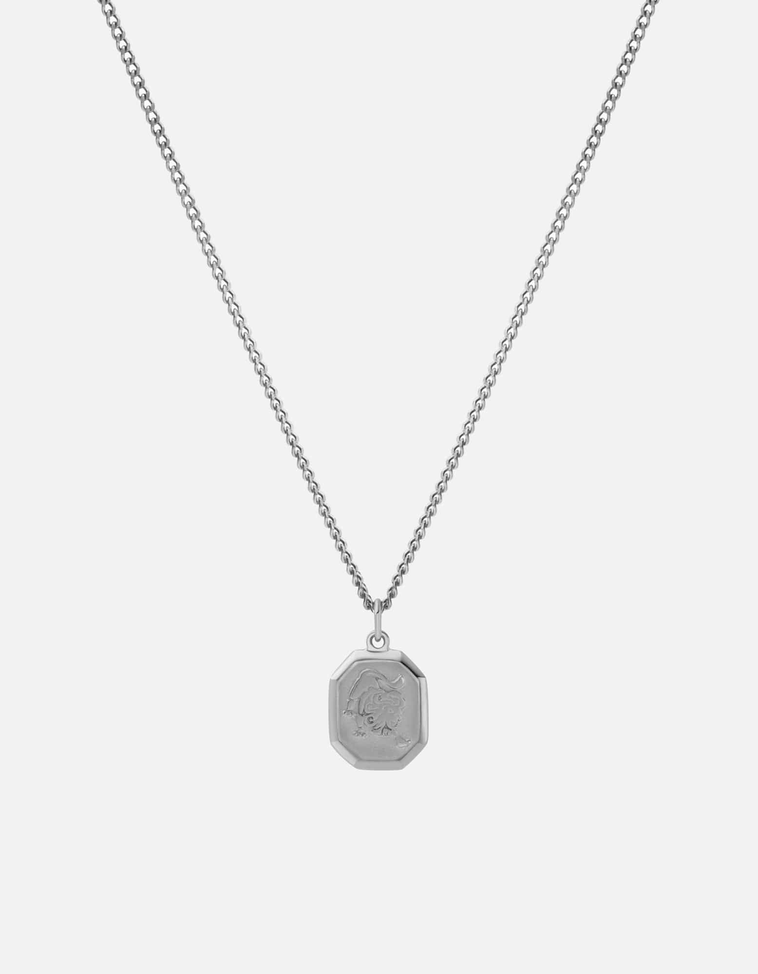 Polished Silver