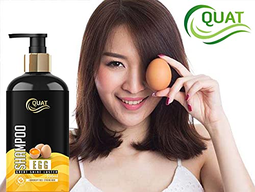 Quat Hairfall Prevent Egg Shampoo 300ml - Anti Hair Loss Treatment with Egg Protein for Stronger Hair - Daily Use for Men & Women