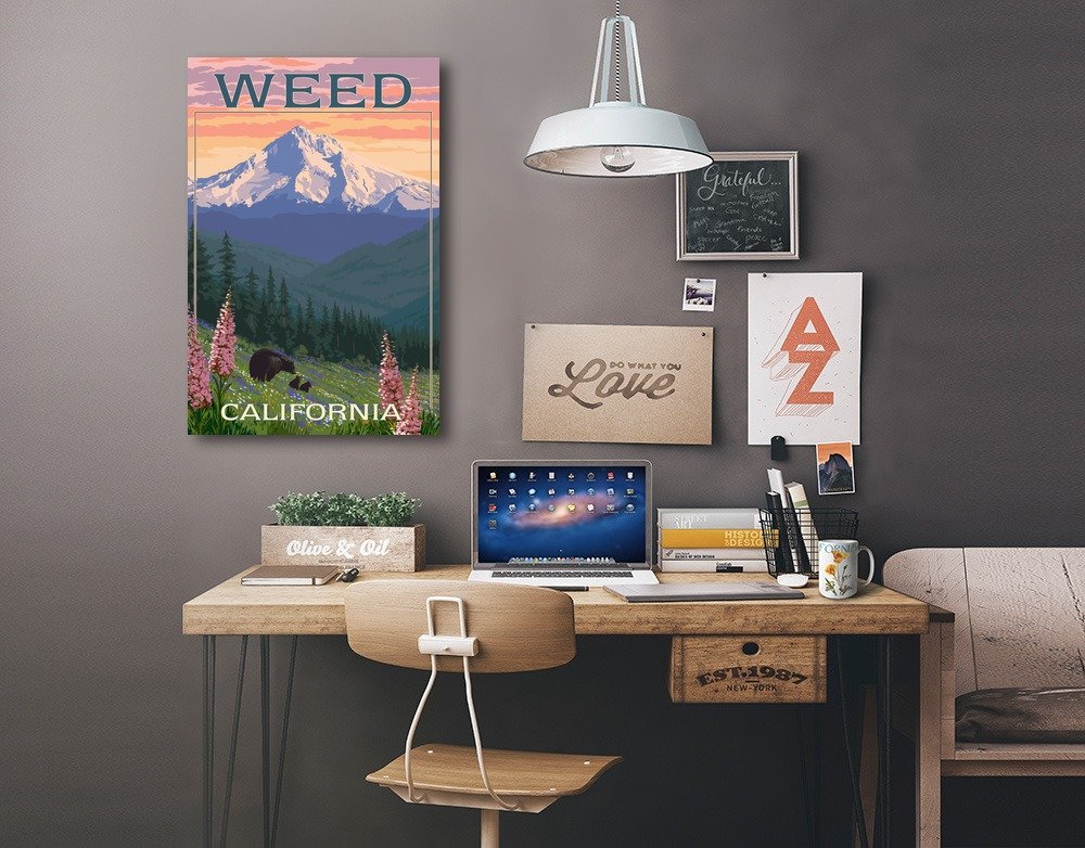 Lantern Press Weed California Bear and Spring Flowers 16x24 Wrapped Canvas Wall Art - Perfect for Living Room, Bedroom, or Office Decor