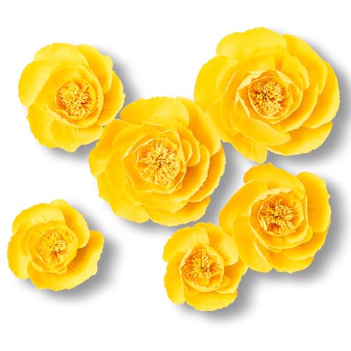 Yellow;set/6