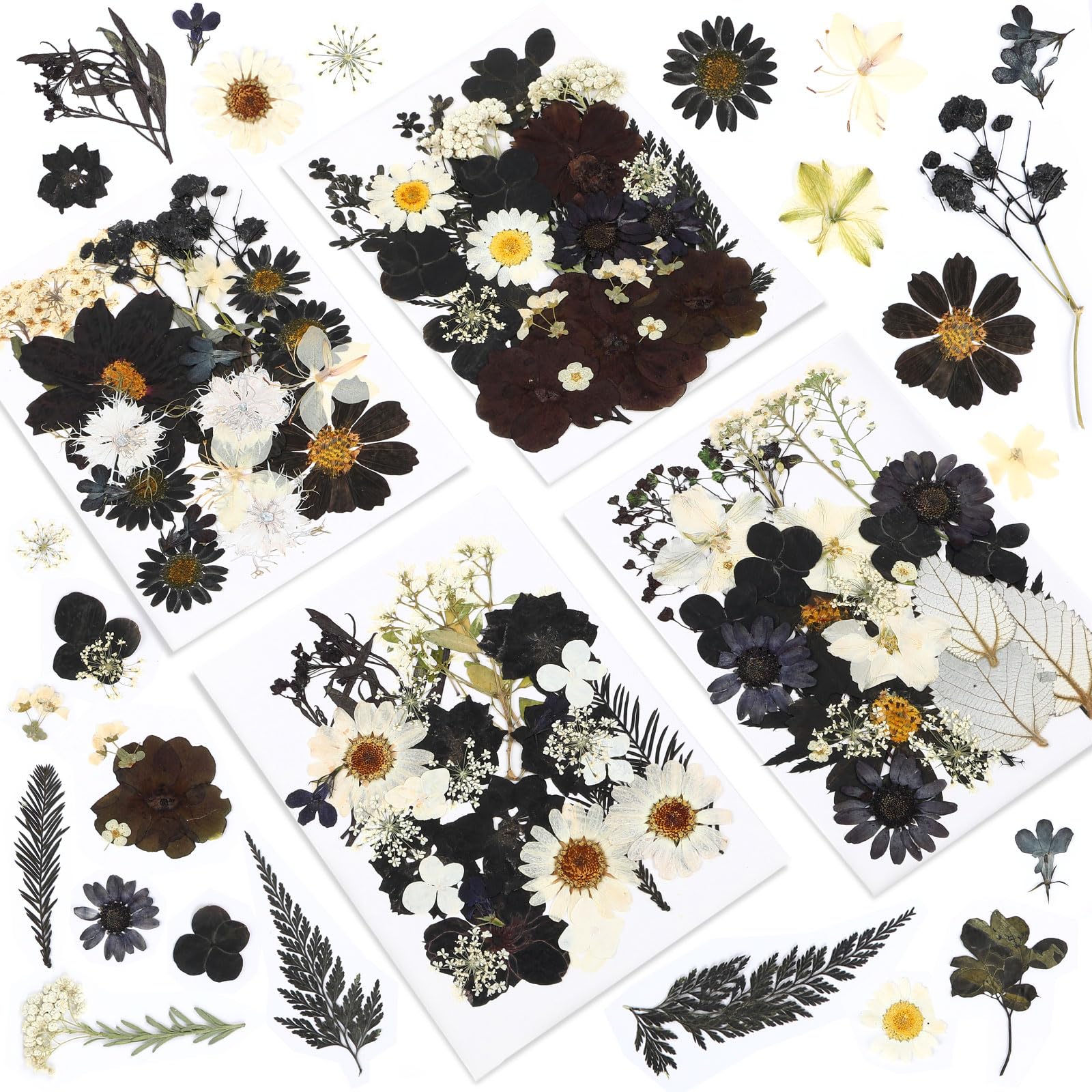 120 Pcs Black Dried Pressed Flowers for Resin Molds - Real Pressed Flowers for DIY Crafts, Jewelry Making, Scrapbooking, Candle & Soap Making - Perfect for Halloween Decorations & Home Craft Projects