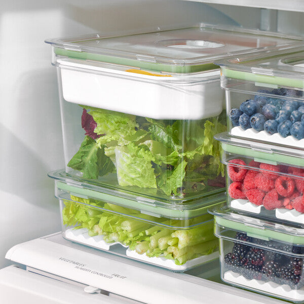 Fresh Large Tall Produce Storage Bin with 3 Adjustable Dividers - Perfect for Organizing Fruits, Vegetables in Kitchen, Pantry or Refrigerator