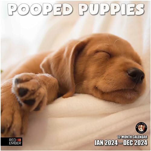 01 - Pooped Puppies