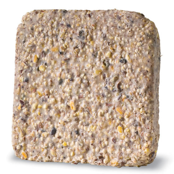 Premium Woodpecker Suet Cakes - High Energy Bird Food, 12 Pack (2.75 lb) - Attract Woodpeckers & Wild Birds - Perfect for Backyard Bird Feeders in Winter & Cold Weather