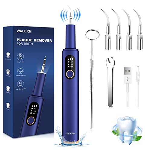 Professional Teeth Cleaning Kit with Plaque Remover - 4 Interchangeable Heads, 3 Modes & LED Light - Rechargeable Dental Care Set for Home Use - Perfect for Oral Hygiene, Tartar Removal and Teeth Whitening at Home