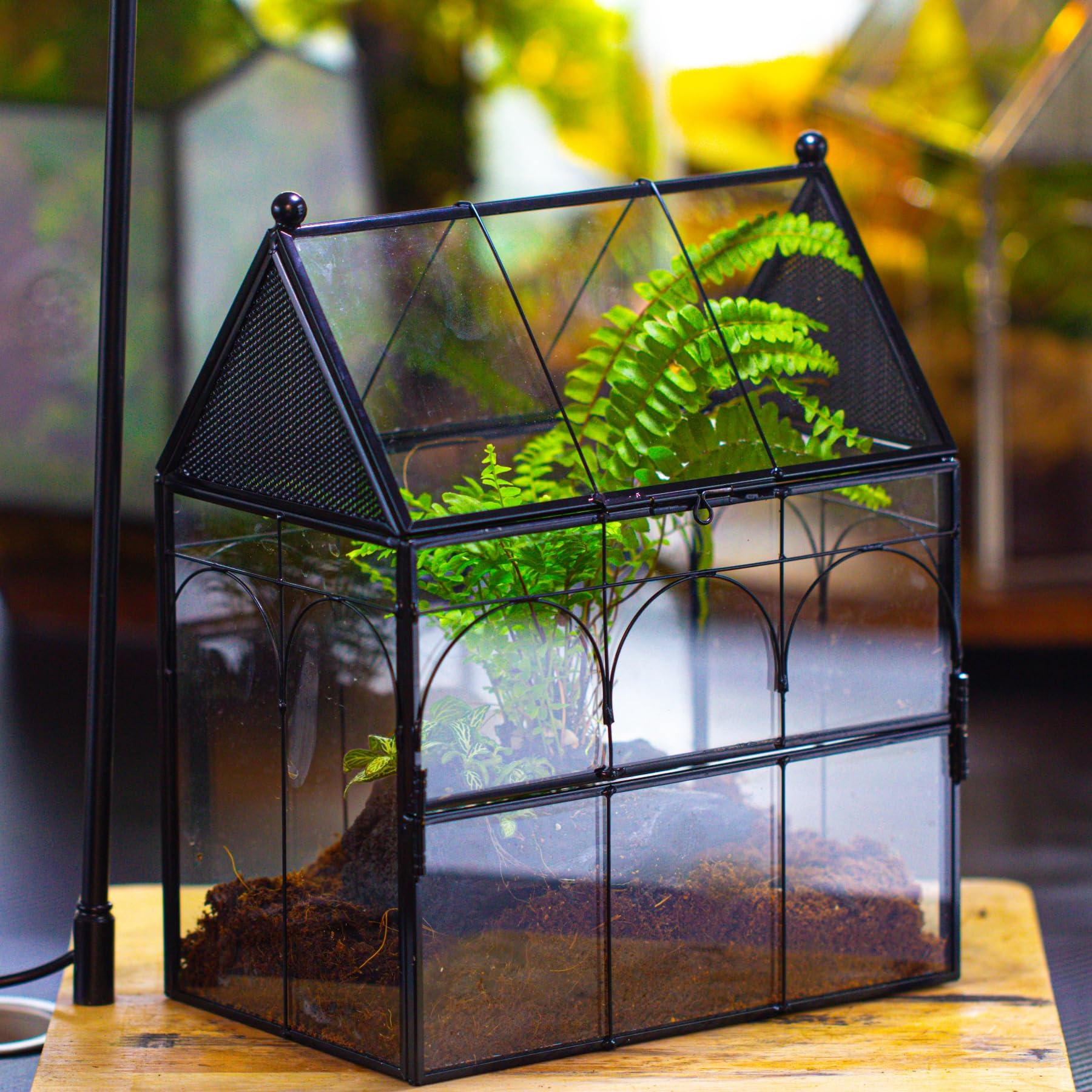 NCYP Glass Terrarium with Ventilation Holes - 7.5x4.9x9 Inch Small House-Shaped Habitat for Jumping Spiders, Insects & Snails - Closed Front Door Succulent Planter - Black Home Decor (No Plants Included) - Perfect for Pet Enclosures, Plant Displays & Decorative Home Accents
