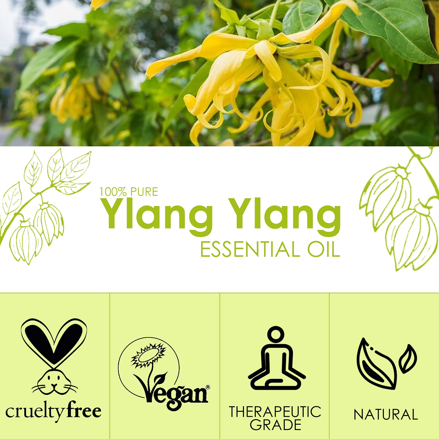 Pure Ylang Ylang Essential Oil 4 Fl Oz (120ml) - 100% Natural Therapeutic Grade Aromatherapy Oil for Diffusers, Massage, Candle & Soap Making | Relaxing Scent for Spa, Yoga & Stress Relief
