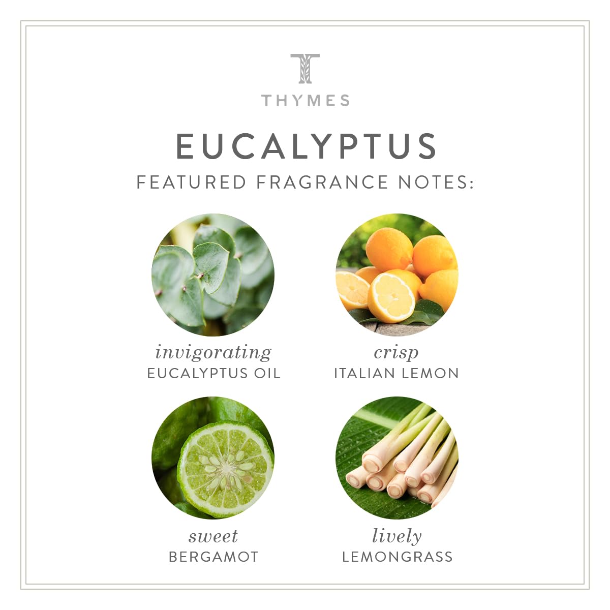 Thymes Eucalyptus Body Scrub - Exfoliating & Moisturizing Skin Care for Body, Face, Hands & Feet - 7 Fl Oz Natural Scrub for Smooth Skin - Perfect for Spa Day, Self-Care Routine & Dry Skin Relief
