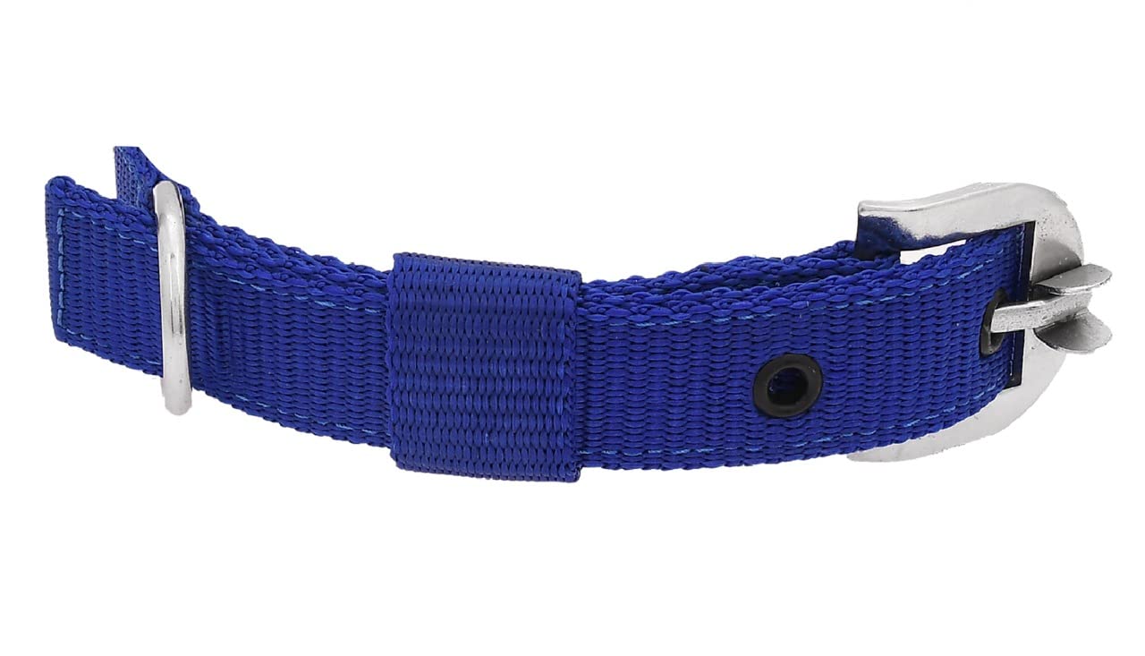 **Petyantra Waterproof Nylon Dog Collar - 1 Inch Adjustable Pet Collar for Small & Medium Dogs, Durable & Comfortable - Perfect for Walking, Training & Outdoor Adventures (Blue)**