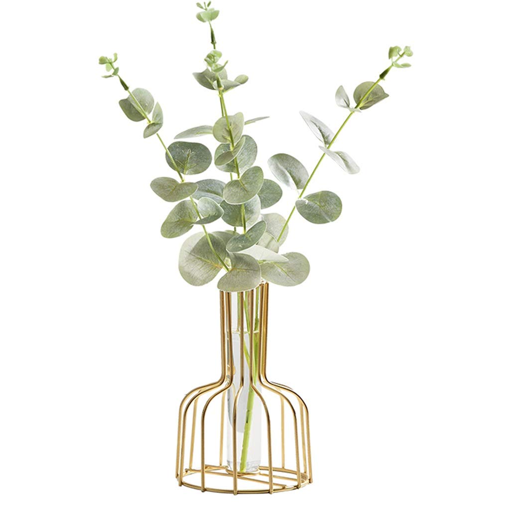 Modern Gold Frame Glass Vase with Metal Stand - Clear Cylinder Flower Vase Planter for Terrariums, Home Decor, Office & Party Centerpieces - Perfect for Living Room, Wedding Decor & Housewarming Gifts (Medium Size)